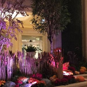 Meet your Posher, Ruby